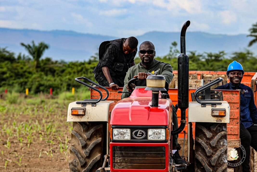 18 milliards de dollars pour les champs : comment fonctionne le pilier agricole de Simandou 2040 18 milliards de dollars pour les champs : comment fonctionne le pilier agricole de Simandou 2040