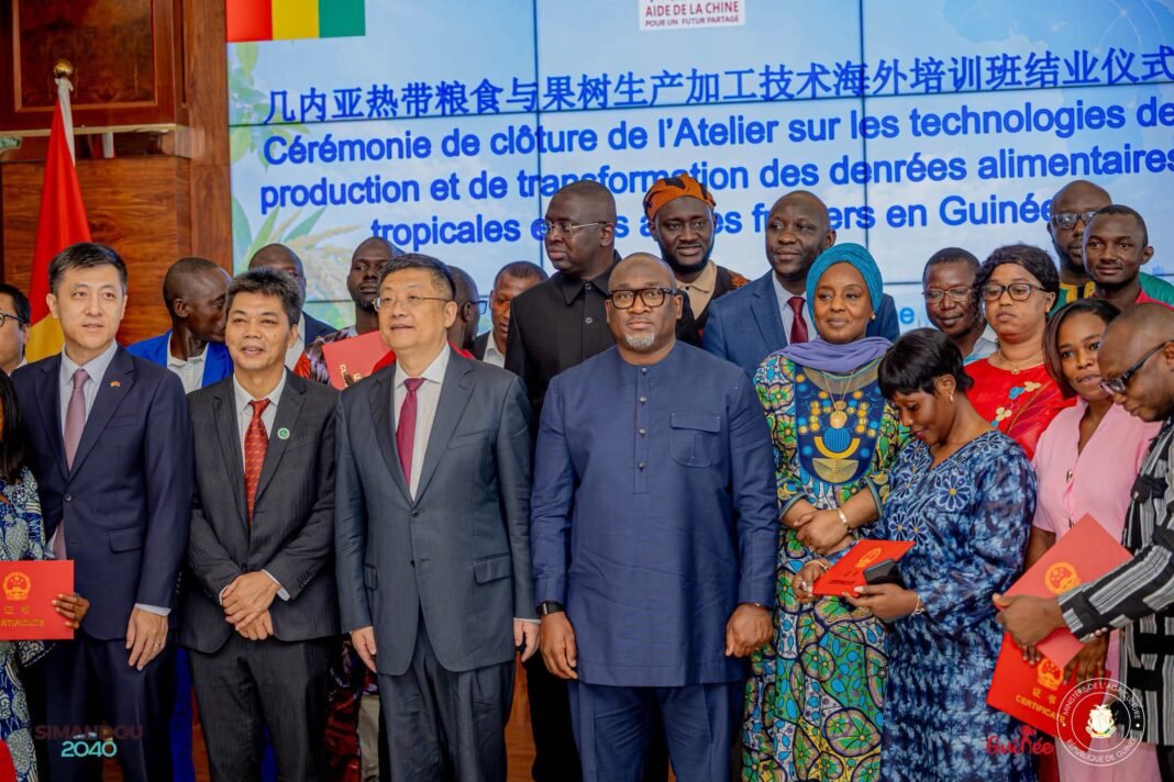 Coopération sino-guinéenne : une centaine de participants formés à la transformation des produits agricoles Coopération sino-guinéenne : une centaine de participants formés à la transformation des produits agricoles