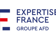 Recrutement : Expertise France en Guinée recherche un.e Expert.e technique international.e en appui au financement des PME et à l’entrepreneuriat