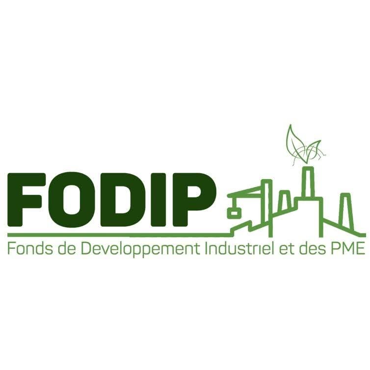 Guinée : le FODIP affiche 1,2 milliard GNF de financements pour les PME et les femmes entrepreneures Guinée : le FODIP affiche 1,2 milliard GNF de financements pour les PME et les femmes entrepreneures