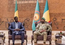 Fibre optique : le Sénégal et le Mali interconnectent leurs réseaux publics